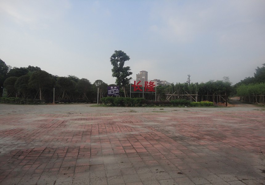 做好園林綠化工作，人人有責(zé)